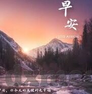 在哪里可以找到麻豆传媒的所有视频-解锁视觉盛宴，探寻麻豆传媒视频的多元汇聚之处